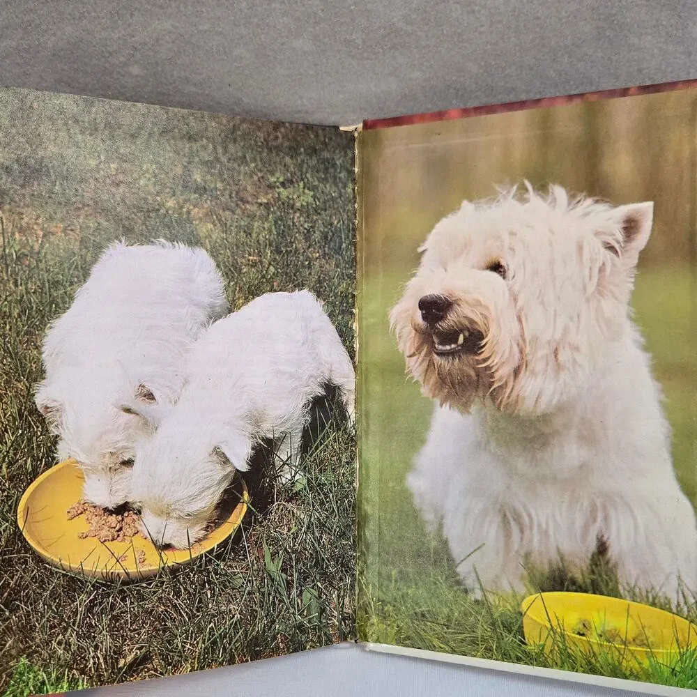 West Highland White Terriers 1984 Illustrated Guide Book by Martin Weil